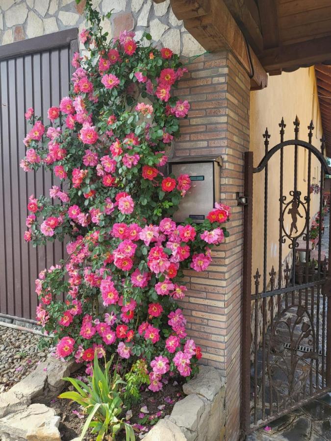 Casa Maria Apartment Cincu Exterior photo